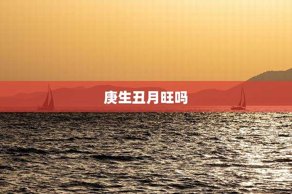 庚生丑月旺吗