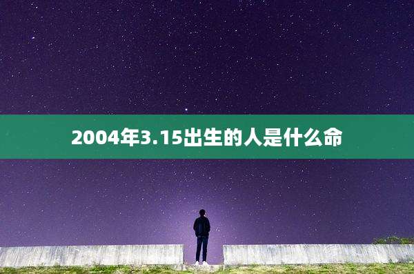 2004年3.15出生的人是什么命