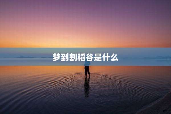 梦到割稻谷是什么