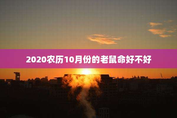 2020农历10月份的老鼠命好不好