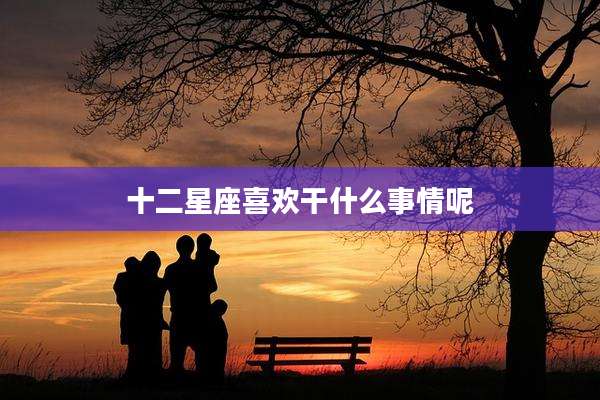十二星座喜欢干什么事情呢