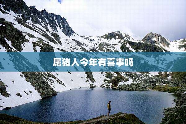 属猪人今年有喜事吗