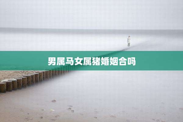 男属马女属猪婚姻合吗