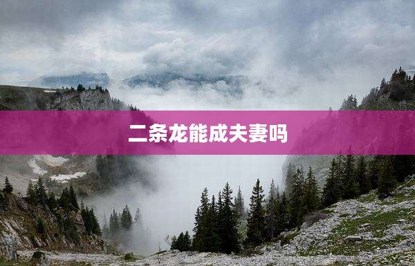 二条龙能成夫妻吗