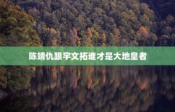 陈靖仇跟宇文拓谁才是大地皇者
