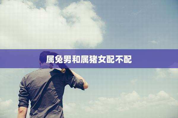 属兔男和属猪女配不配
