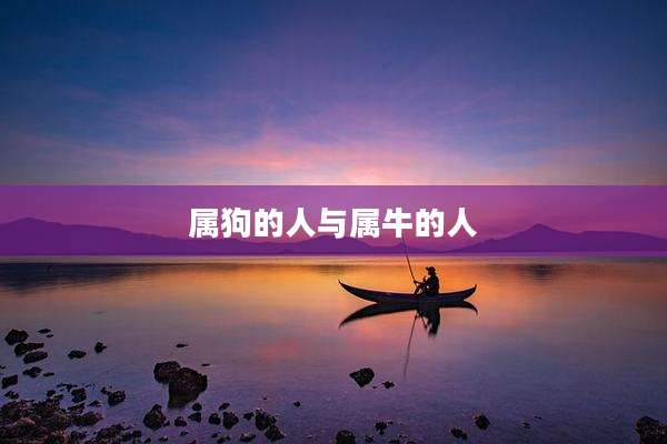 属狗的人与属牛的人