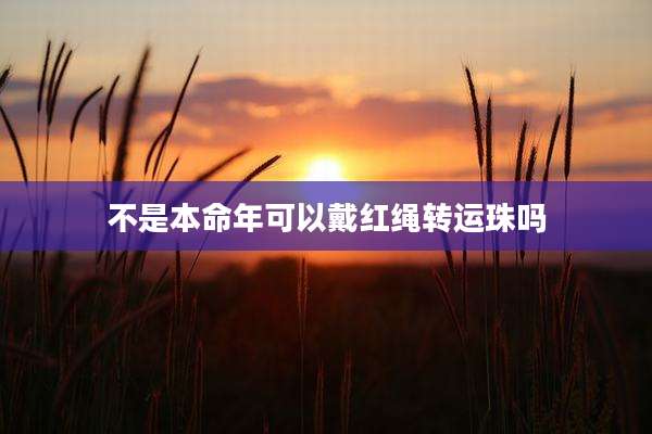 不是本命年可以戴红绳转运珠吗