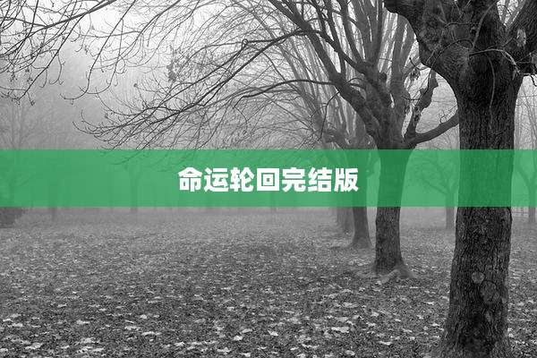 命运轮回完结版