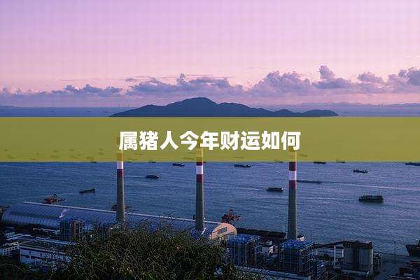 属猪人今年财运如何