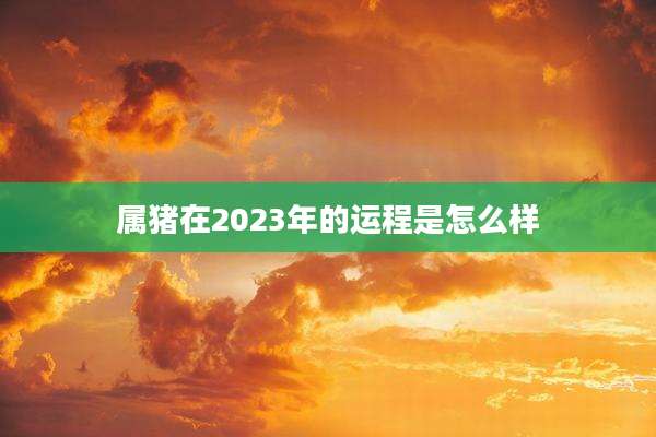 属猪在2023年的运程是怎么样