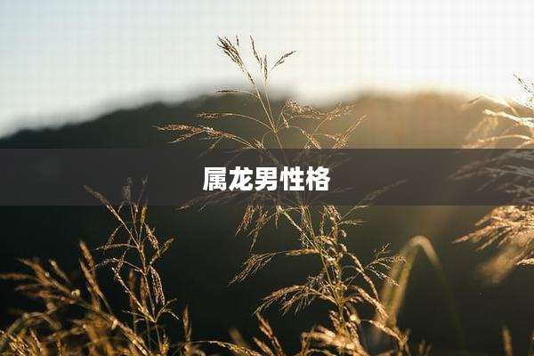 属龙男性格