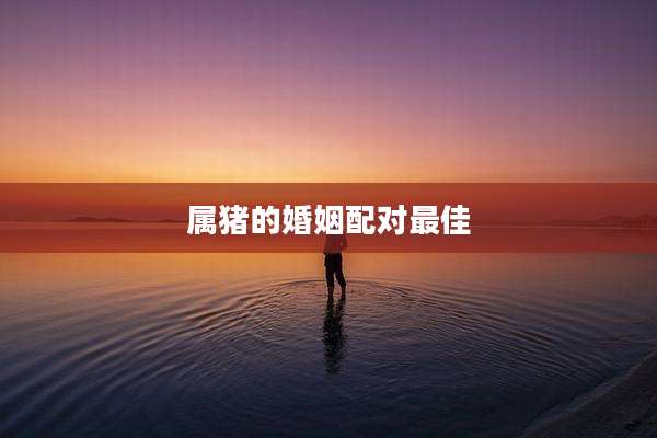 属猪的婚姻配对最佳