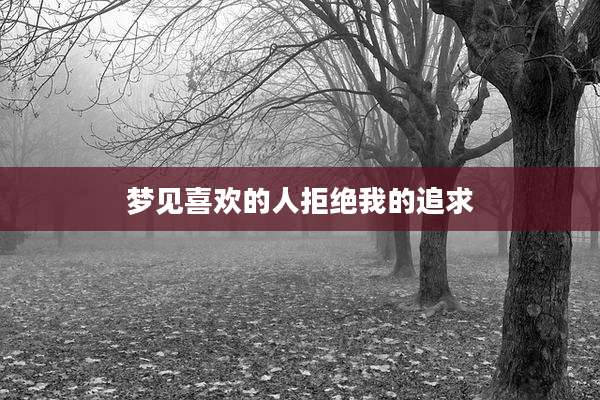 梦见喜欢的人拒绝我的追求