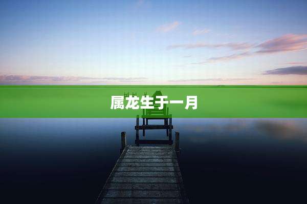 属龙生于一月
