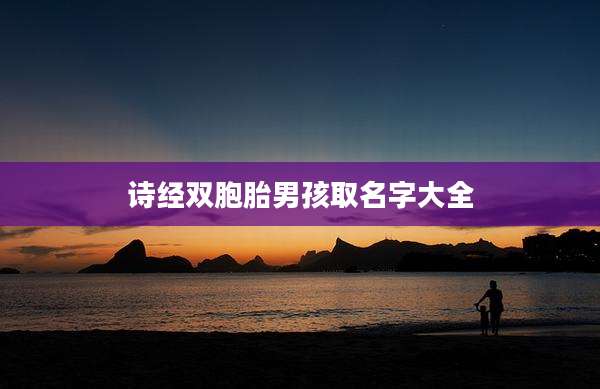 诗经双胞胎男孩取名字大全