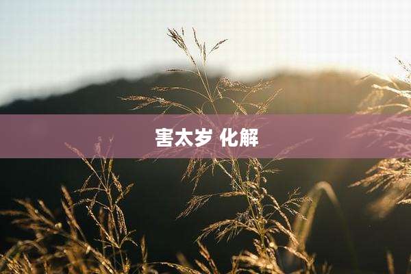 害太岁 化解
