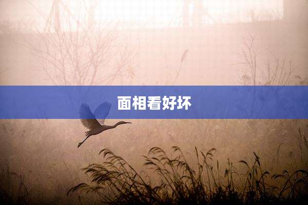 面相看好坏
