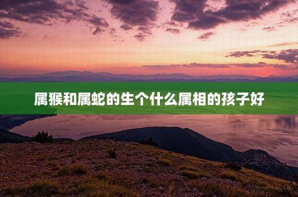 属猴和属蛇的生个什么属相的孩子好