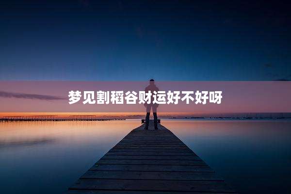 梦见割稻谷财运好不好呀