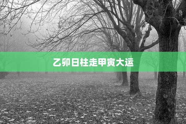 乙卯日柱走甲寅大运