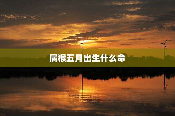属猴五月出生什么命