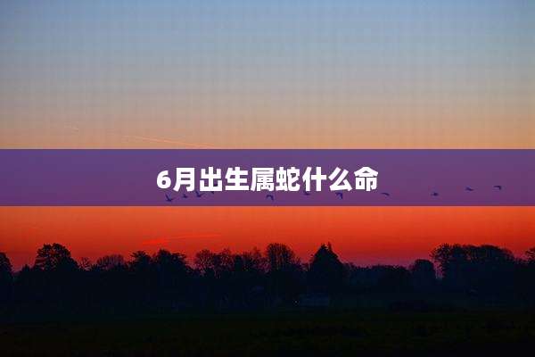 6月出生属蛇什么命