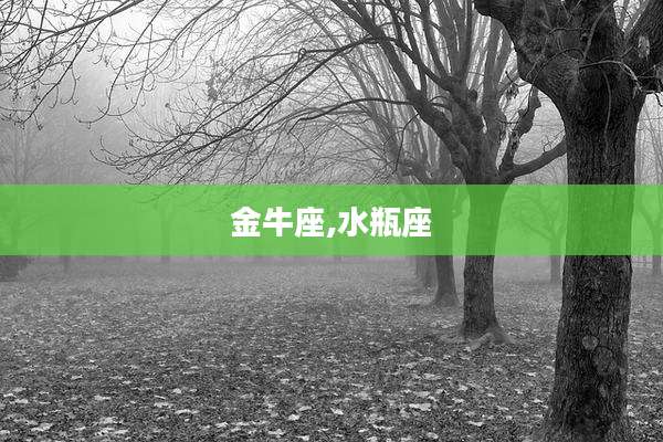 金牛座,水瓶座
