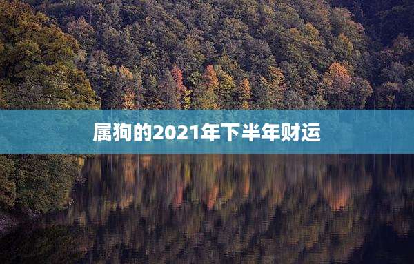 属狗的2021年下半年财运