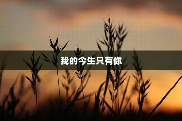 我的今生只有你