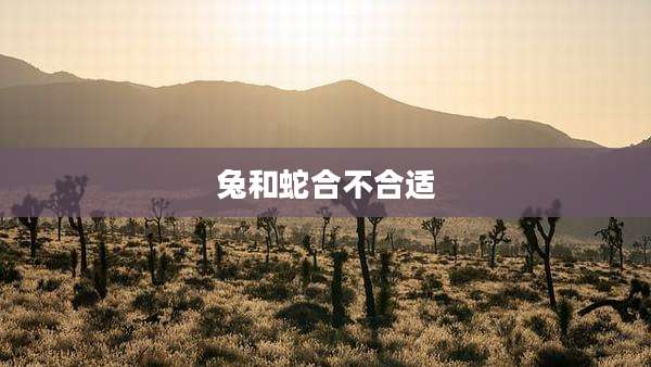 兔和蛇合不合适