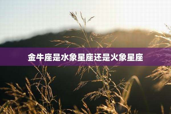 金牛座是水象星座还是火象星座