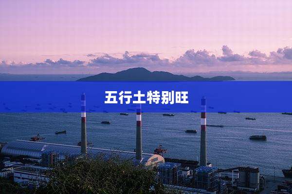 五行土特别旺