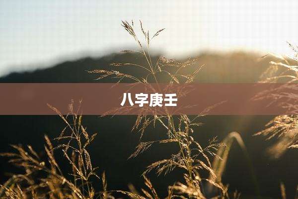八字庚壬