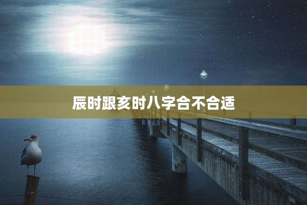 辰时跟亥时八字合不合适