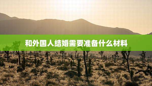 和外国人结婚需要准备什么材料