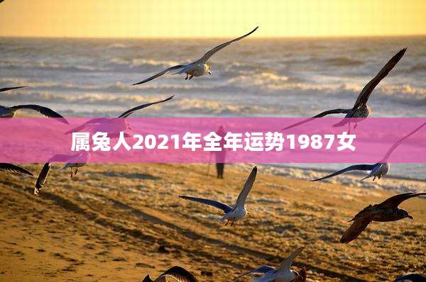属兔人2021年全年运势1987女