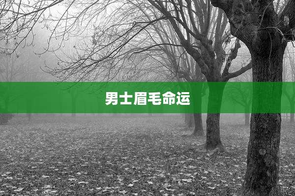 男士眉毛命运