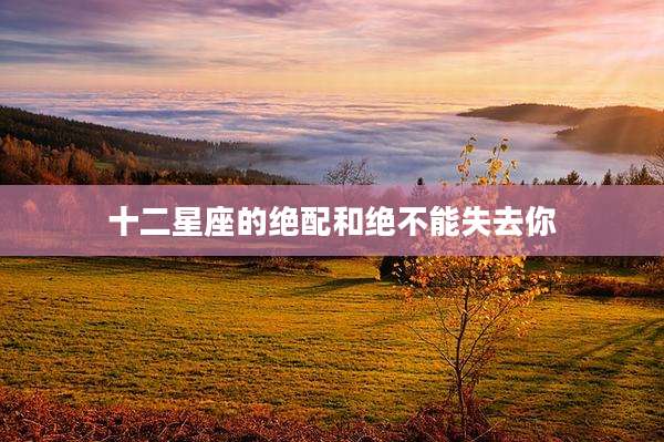 十二星座的绝配和绝不能失去你