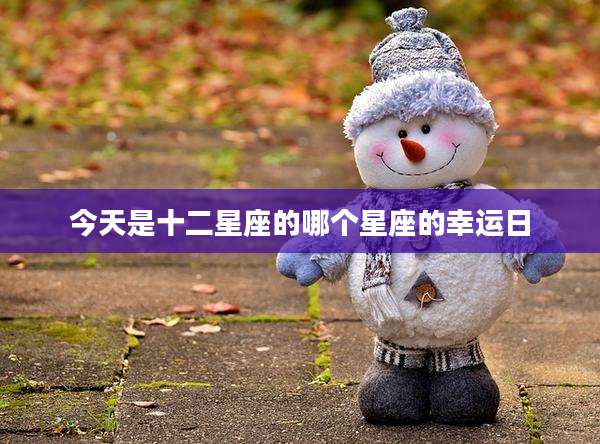 今天是十二星座的哪个星座的幸运日