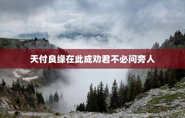 天付良缘在此成劝君不必问旁人