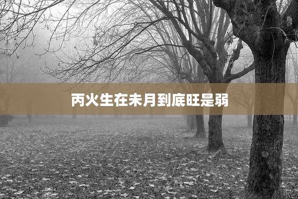 丙火生在未月到底旺是弱
