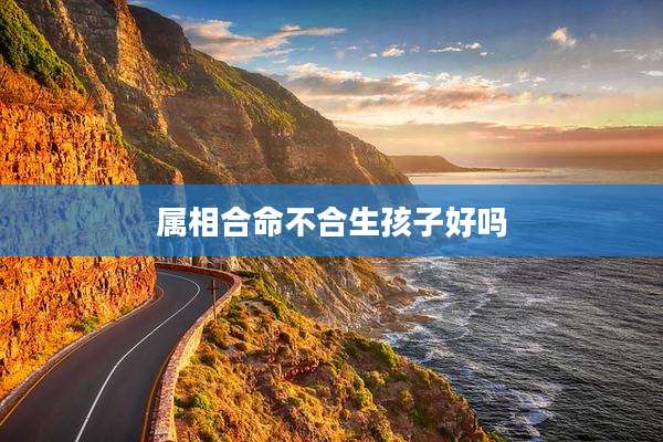 属相合命不合生孩子好吗