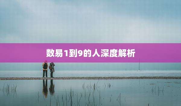 数易1到9的人深度解析