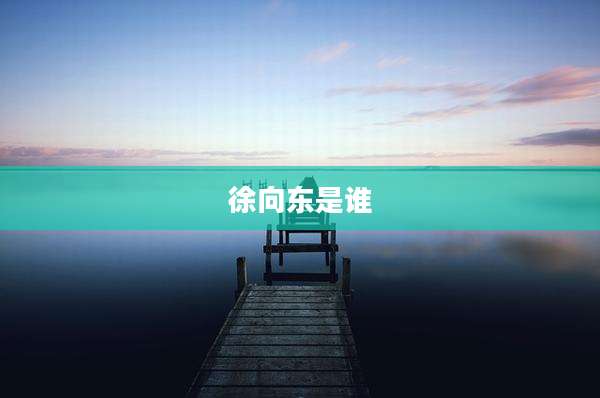 徐向东是谁