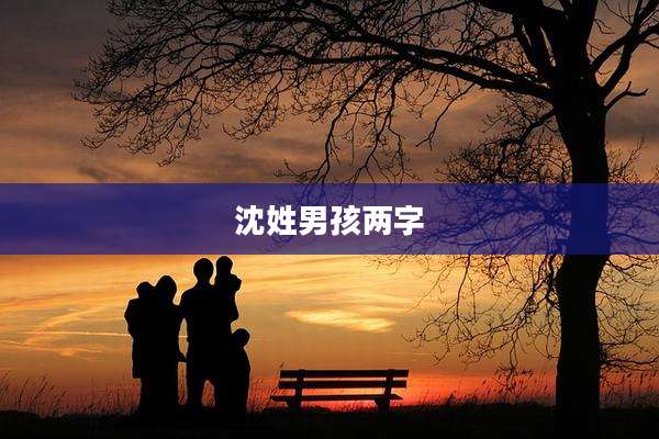 沈姓男孩两字
