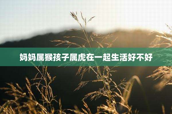 妈妈属猴孩子属虎在一起生活好不好