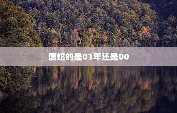 属蛇的是01年还是00