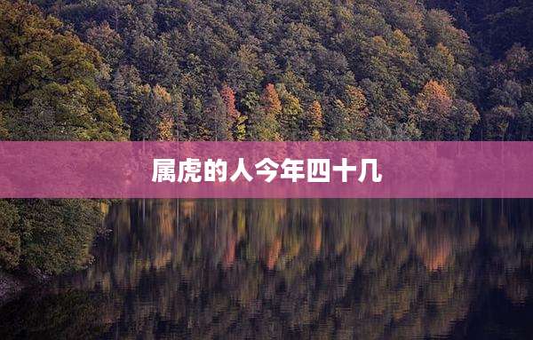 属虎的人今年四十几