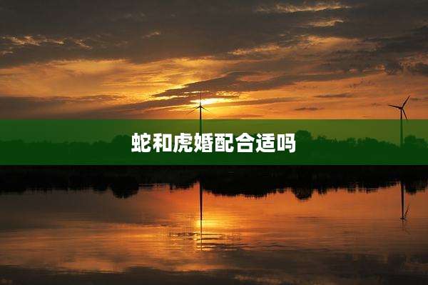 蛇和虎婚配合适吗